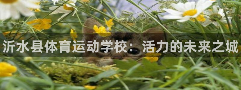 公海赌赌船官网下载官方客服电话：沂水县体育运动学校：活力的未