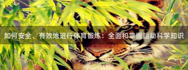 公海赌赌船官方正版app科技：如何安全、有效地进行体
