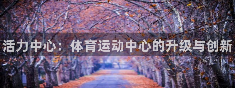 公海赌赌船官方正版app娱乐网站：活力中心：体育运动中心的升