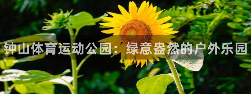 公海赌赌船官网下载平台是正规平台吗知乎：钟山体育运动公园：绿