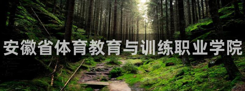 公海赌赌船官网下载注册：安徽省体育教育与训练职业学院