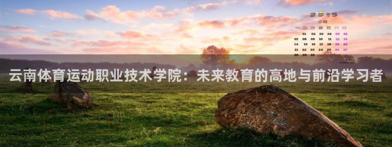 公海赌赌船官方正版app集团简介：云南体育运动职业技