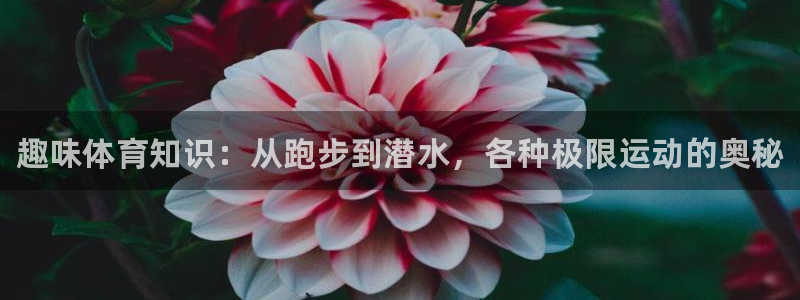 公海赌赌船官方正版app集团E.ON：趣味体育知识：