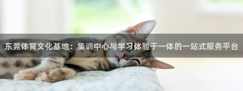 公海赌赌船官方正版app集团E.ON：东莞体育文化基