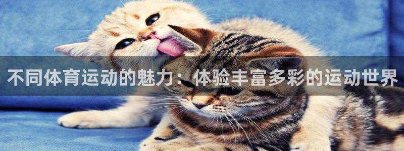 公海赌赌船官方正版app集团官网网址：不同体育运动的魅力：体