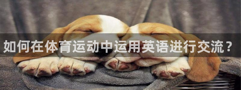 公海赌赌船官网下载招商电话号码查询