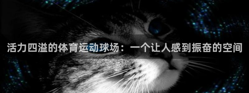 注册公海赌赌船官方正版app：活力四溢的体育运动球场