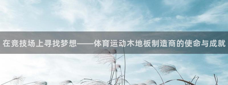 公海赌赌船官方正版app集团简介：在竞技场上寻找梦想