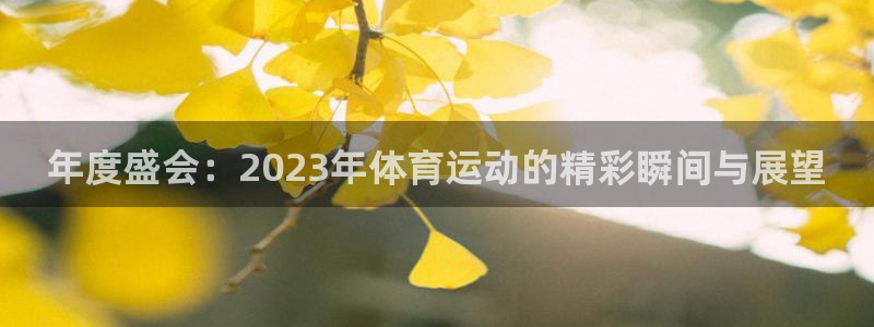 公海赌赌船官网下载平台假的吗是真的吗吗：年度盛会：2