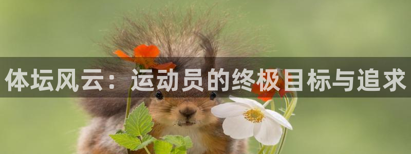 公海赌赌船官方正版app科技：体坛风云：运动员的终极