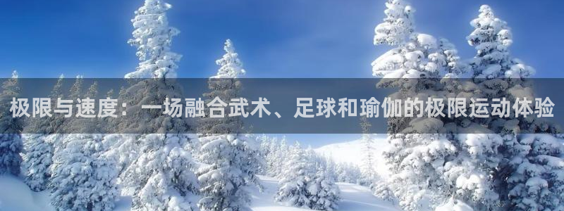 公海赌赌船官网下载招商：极限与速度：一场融合武术、足