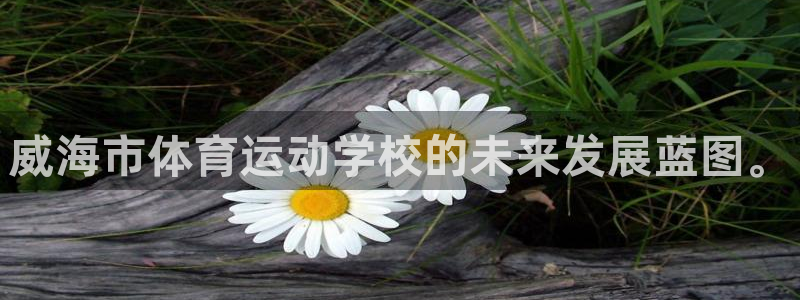 公海赌赌船官网下载：威海市体育运动学校的未来发展蓝图