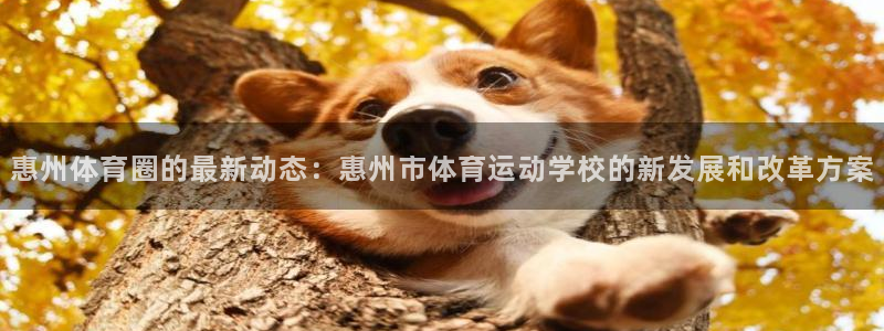 公海赌赌船官方正版app娱乐是那个系列的台子：惠州体育圈的最