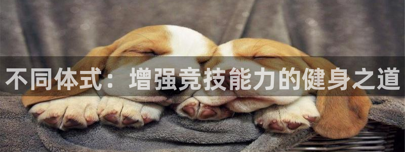 公海赌赌船官网下载平台是正规平台吗知乎：不同体式：增强竞技能