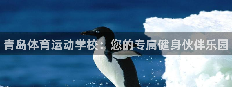 公海赌赌船官网下载平台注册要钱吗：青岛体育运动学校：