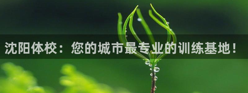 公海赌赌船官方正版app娱乐下载：沈阳体校：您的城市最专业的