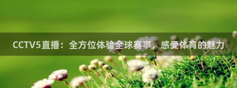 说球帝体育直播在线观看