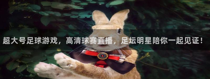 说球帝足球直播在线观看免费