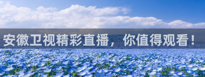 说球帝nba直播在线观看免费回放：安徽卫视精彩直播，你值得观看！