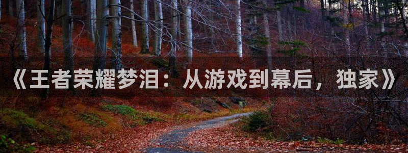 说球帝在线直播免费观看直播