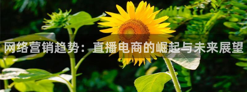 说球帝五大联赛直播免费观看