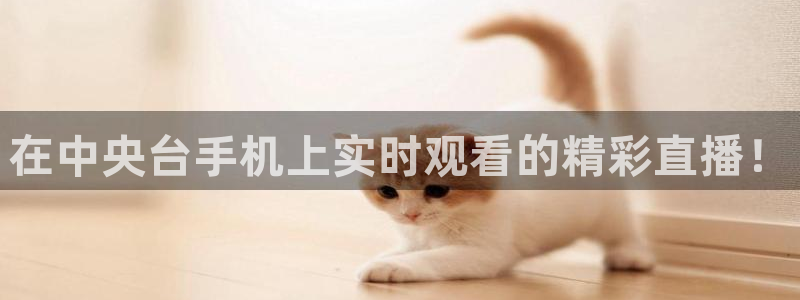 说球帝直播体育：在中央台手机上实时观看的精彩直播！