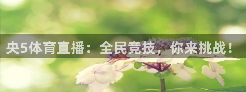 nba直播说球帝：央5体育直播：全民竞技，你来挑战！