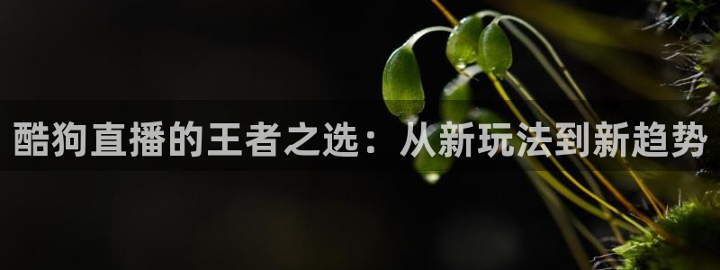 说球帝nba直播在线篮球：酷狗直播的王者之选：从新玩法到新趋势