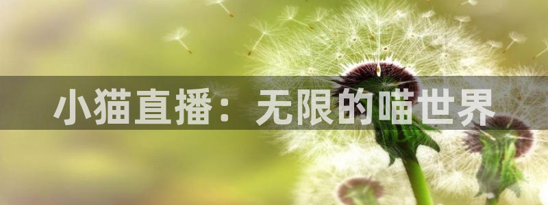 说球帝nba直播在线篮球：小猫直播：无限的喵世界